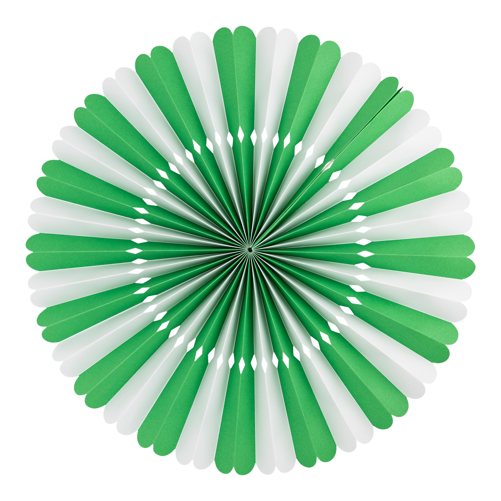 
                      
                        PLFN05 - Green and White Party Fan Set
                      
                    