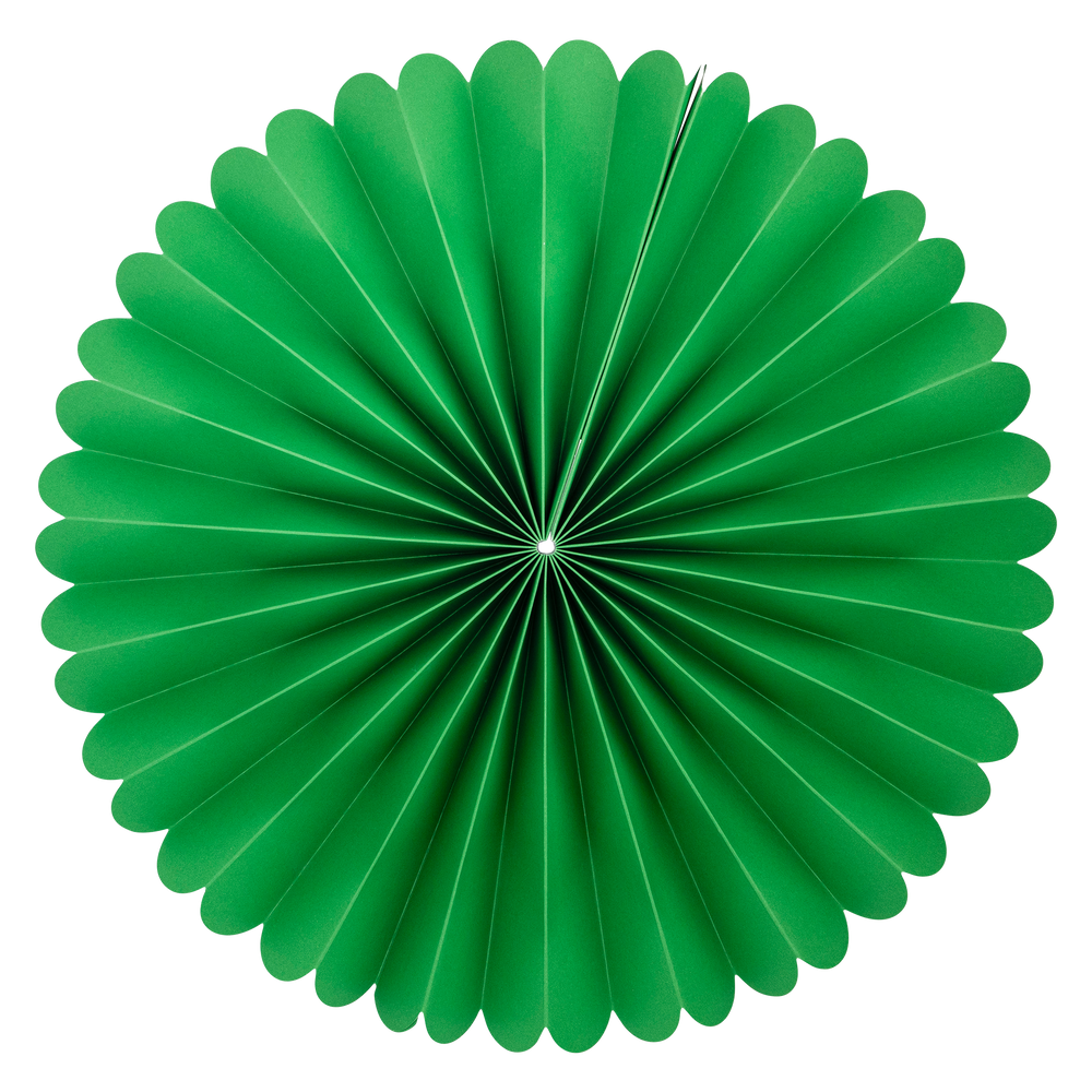 
                      
                        PLFN05 - Green and White Party Fan Set
                      
                    