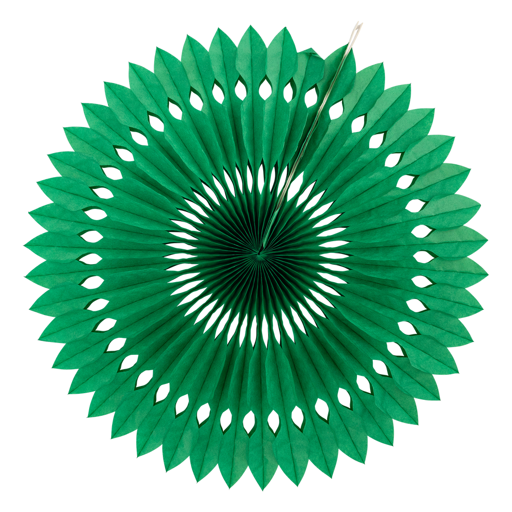 
                      
                        PLFN05 - Green and White Party Fan Set
                      
                    