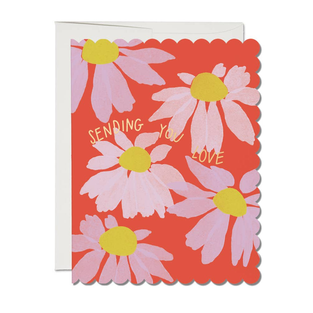 Scalloped Coneflower sympathy greeting card