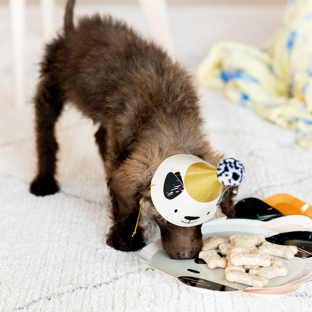 
                      
                        Bow Wow Party Hats
                      
                    